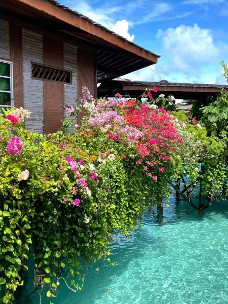 仙本那一日游好去处