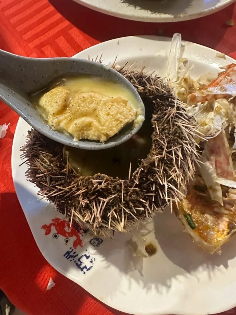 仙本那一日游好去处